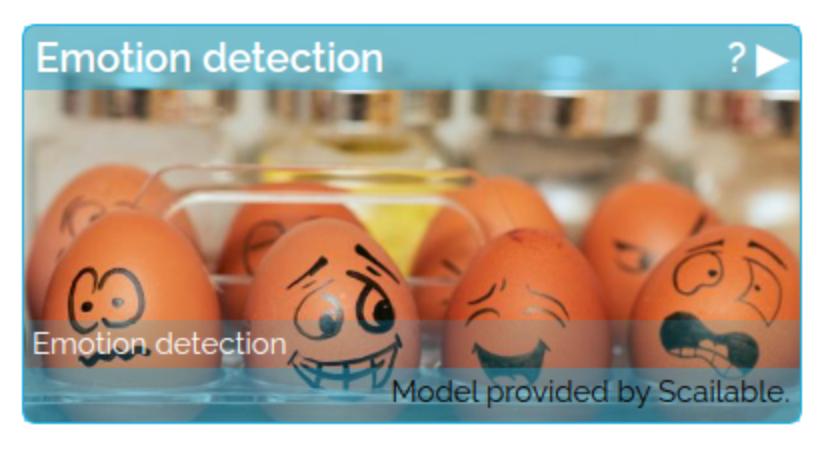 The emotion detection model
